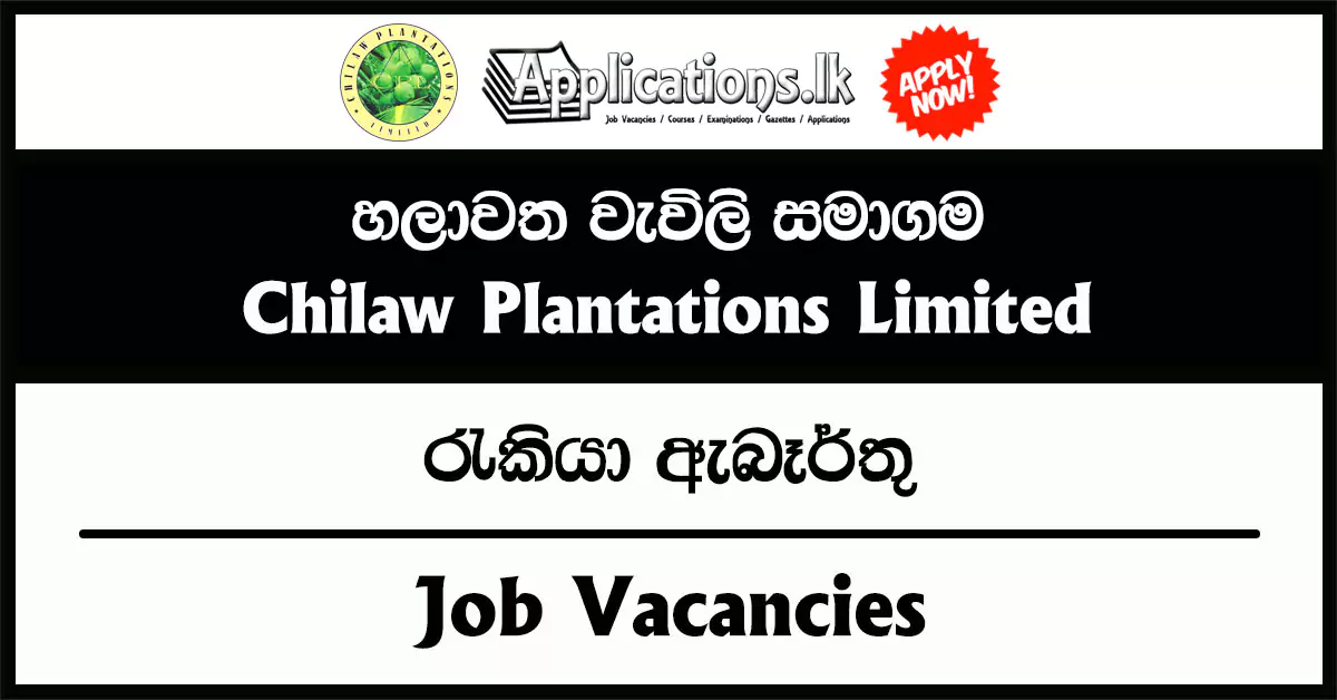 Superintendent, Management Assistant – Chilaw Plantations Limited Vacancies 2025