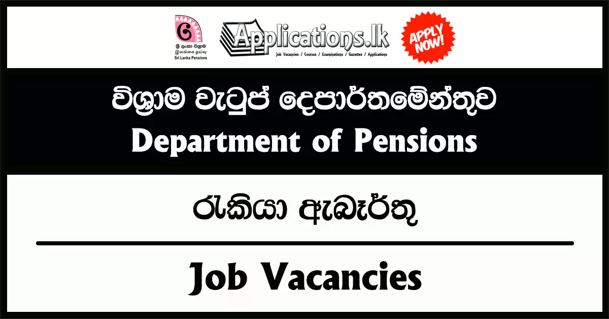 Computer Software Development Officer (Contract Basis) – Department of Pensions Vacancies 2025