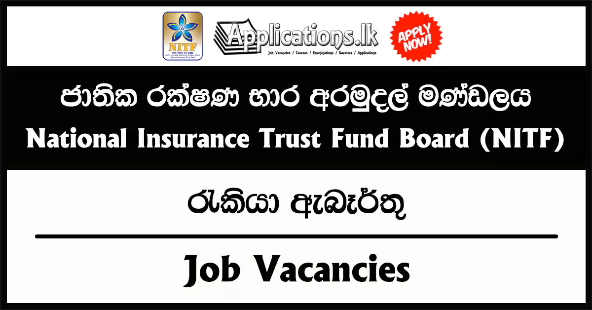 Risk Manager, Insurance Officer – National Insurance Trust Fund Board (NITF) Vacancies 2025