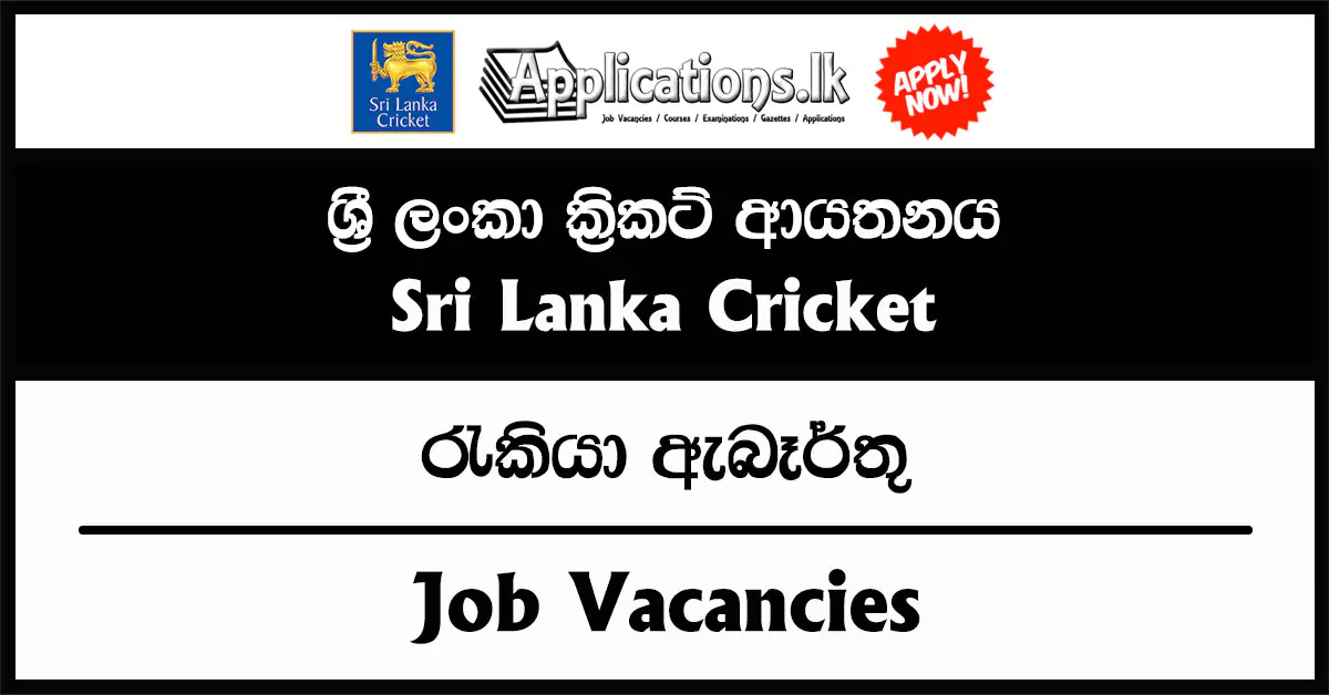 Digital Content Executive – Sri Lanka Cricket (SLC) Vacancies 2025